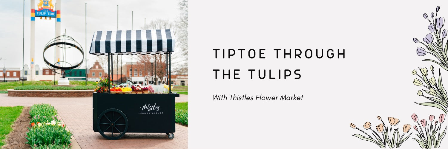 Tiptoe Through the Tulips with Thistles 2026