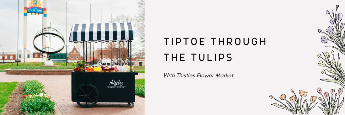 Tiptoe Through the Tulips with Thistles 2026
