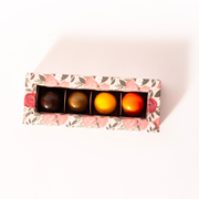 a 4 pack box of gourmet chocolate truffles in fall flavors