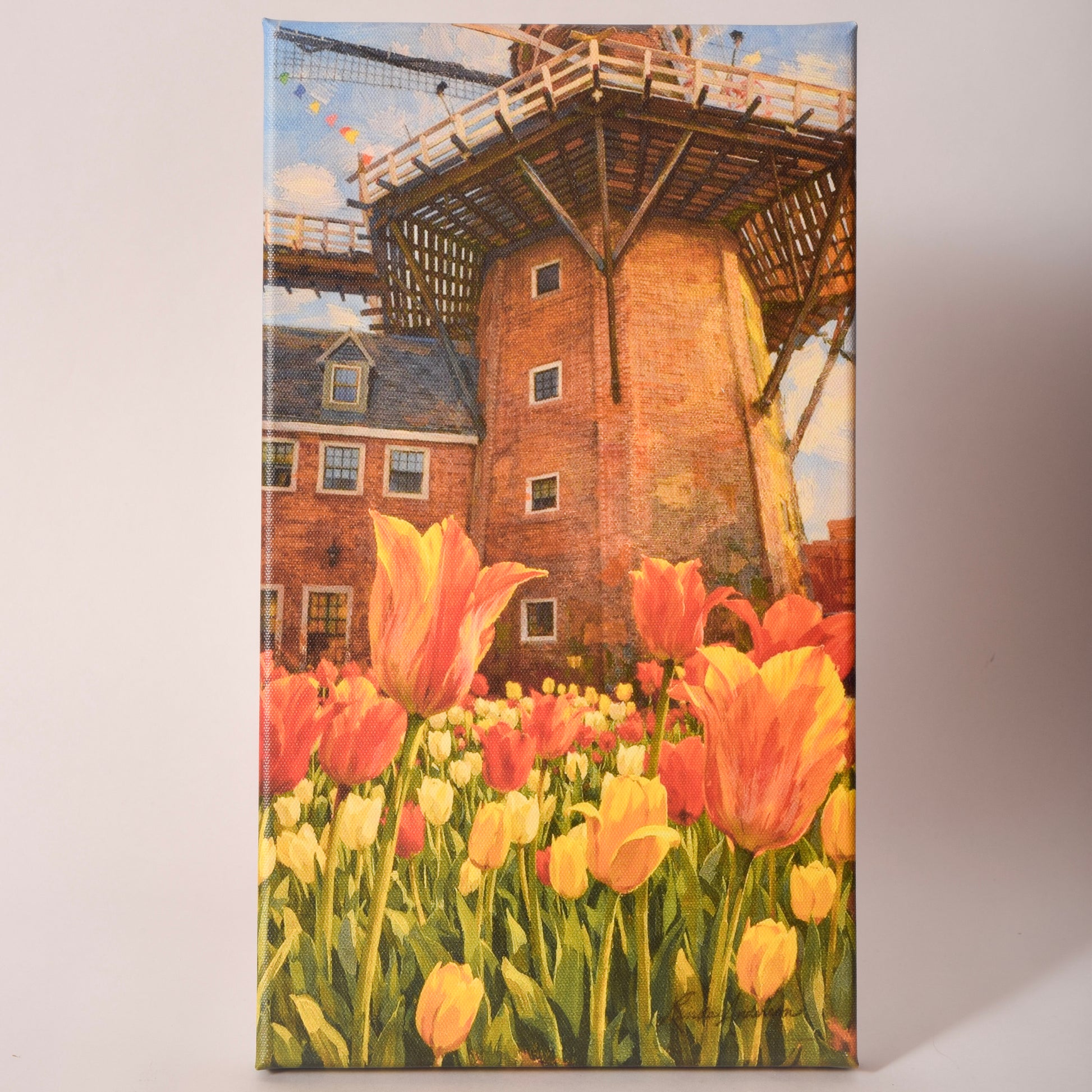 Canvas print of tulips blooming in front of Pella's Vermeer Windmill, sold at Thistles in Pella, Iowa